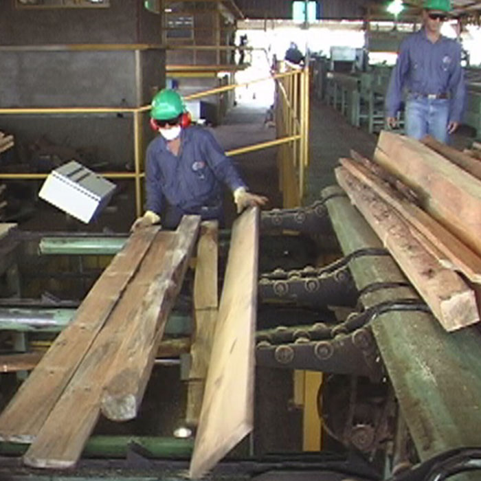 Mesón de Clasificación